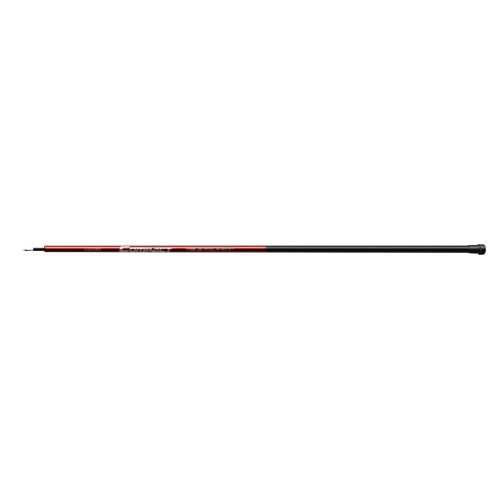 Compact Pole 500