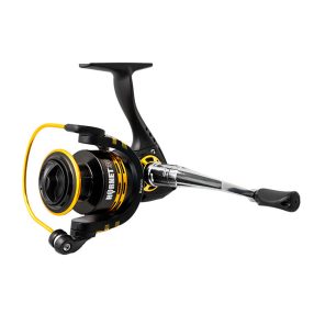 Delphin HORNET 40