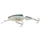 SALMO WOBBLER FRISKY FR7DR RD