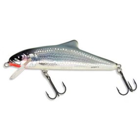 SALMO WOBBLER SKINNER SK12F RR