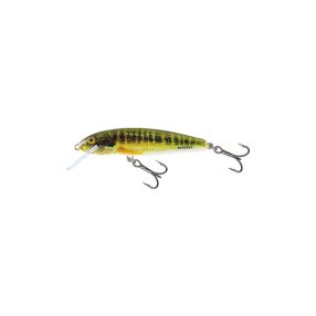 SALMO WOBBLER MINNOW M5F GT