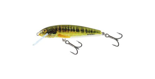 SALMO WOBBLER MINNOW M5F RR